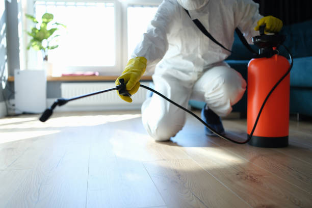 Reliable Odor Removal contractor in Cleveland, GA by Trauma Clean Pros
